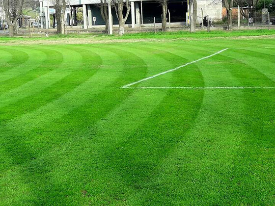 Un verde impresionante el de la cancha de Academia Deportiva. As&iacute; da gusto jugar.