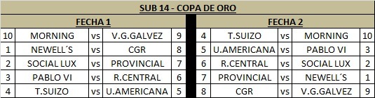 Copa de Oro
