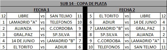 Copa de Plata
