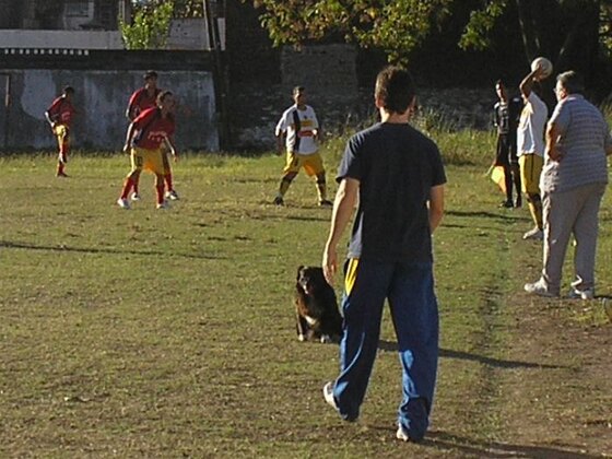 Una imagen del fútbol amateur. Un perro en el campo mientras se juega el partido.