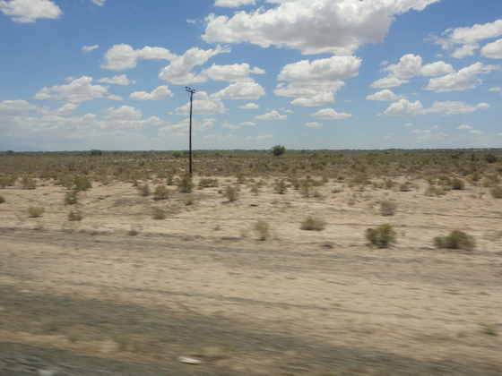 Galería de fotos. Muchos kilómetros de campos áridos y casi desérticos. Así fue el panorama.
