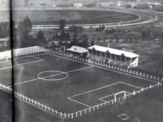 El 23 de julio de 1911 Newell's inaugur&oacute; lo que hoy se conoce como Coloso del Parque.