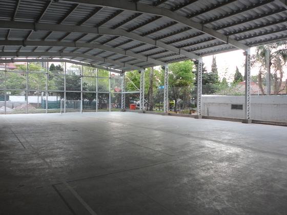 Imagen de ¡Flor de gimnasio!