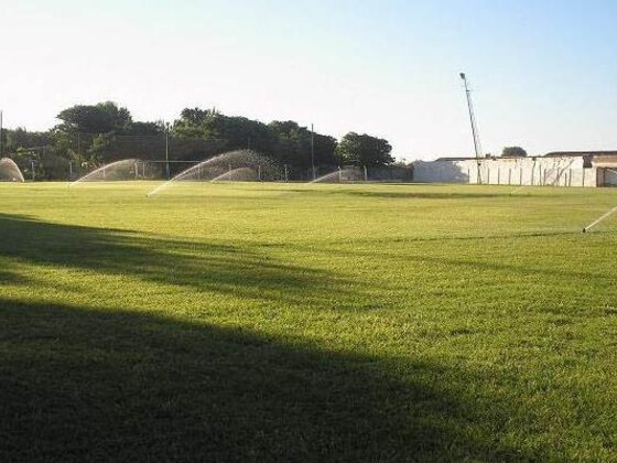 Aunque parezca mentira, esta es la cancha de Morning hoy. Quizás nunca en su historia haya estado así.