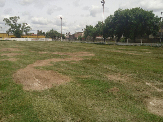 Otra foto que permite ver cómo estaba el campo antes de comenzar todo este proceso.
