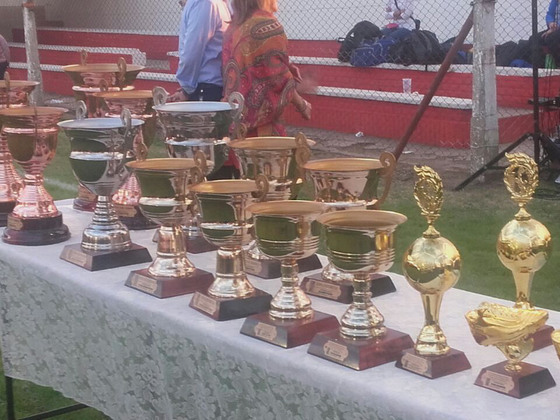 Los trofeos exhibidos en el reducto de la Liga Esperancina. El certamen fue todo una fiesta.