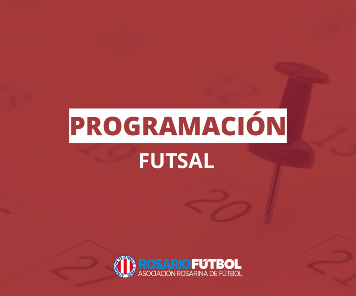 La Programaci&oacute;n se puede descargar en el archivo adjunto que se muestra debajo.